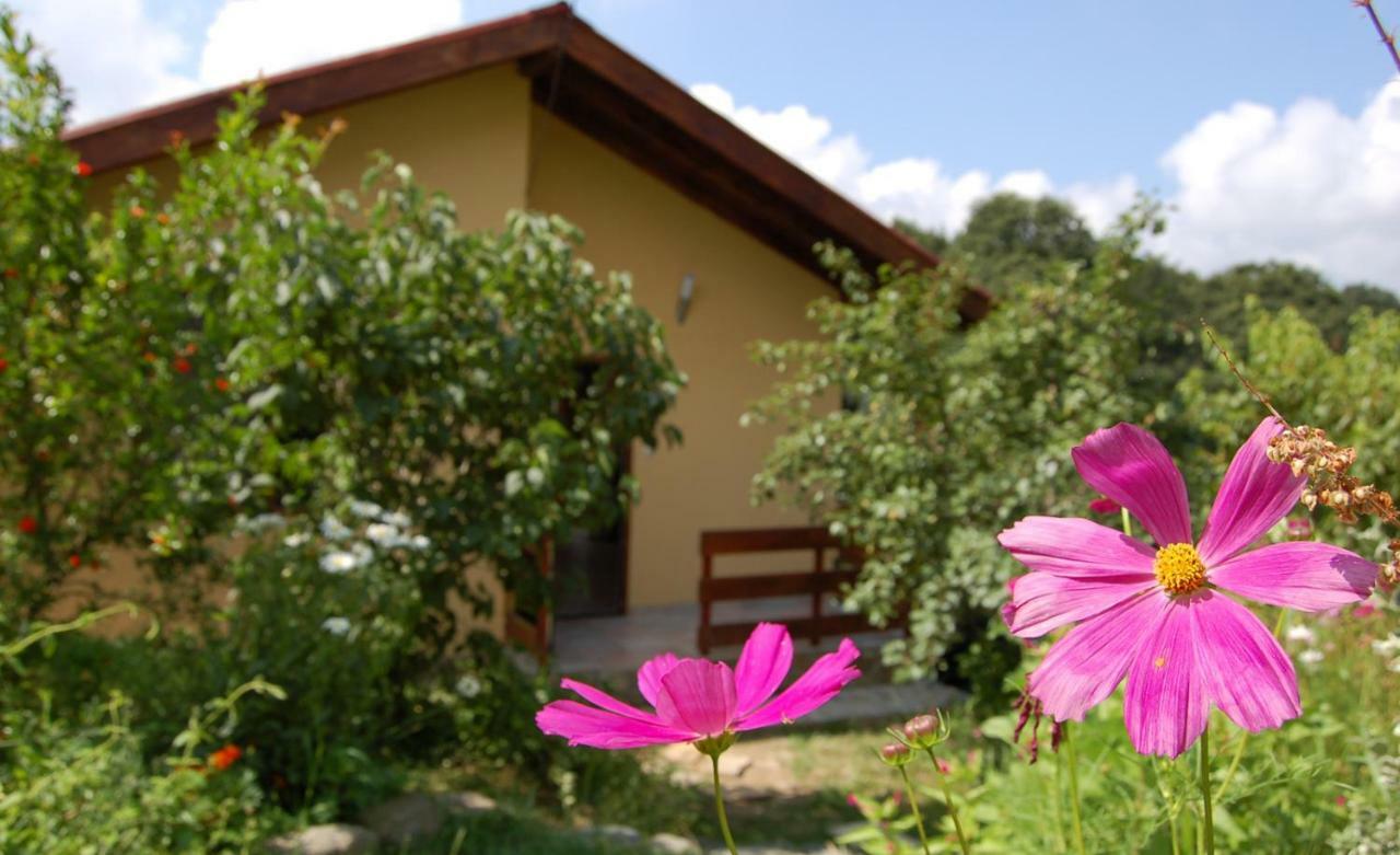 Casa Verde Villa Sinemoretz Exterior foto
